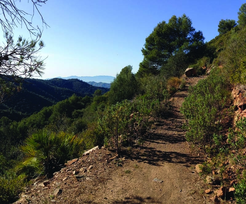 Vandringslederna vid Montes de Málaga bjuder på både enastående natur och hänförande utsikt.